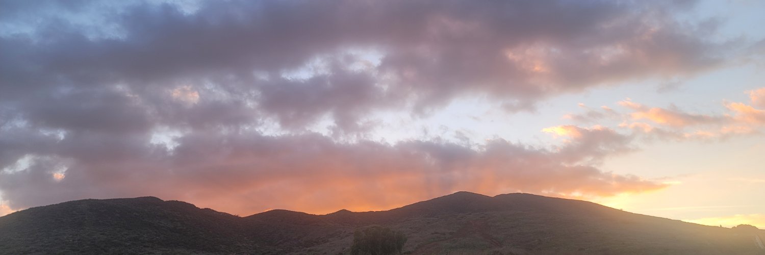 lynniermode's profile banner image