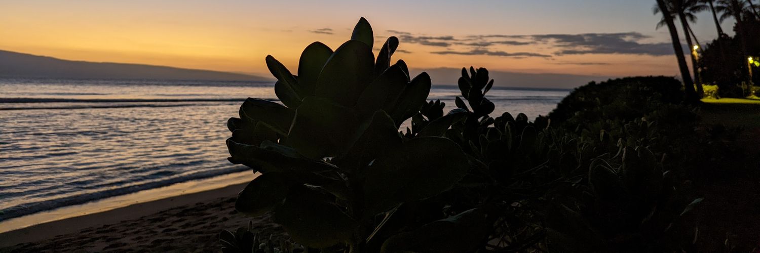 SeanAndrewSmith's profile banner image