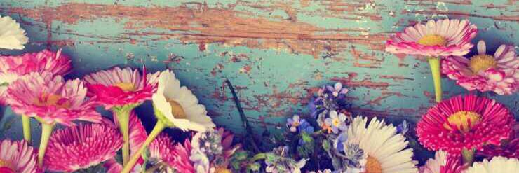kcbirdsong's profile banner image