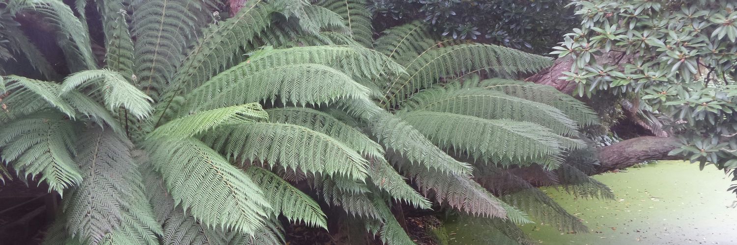 Andrew Harrison banner