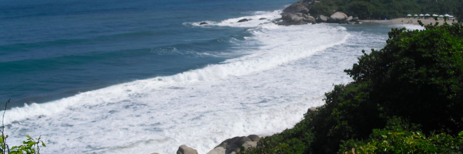 DavidArenasR1's profile banner image