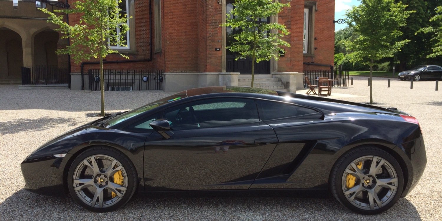 Maggie Wilson banner