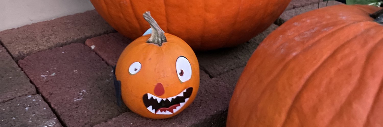RannieMae's profile banner image