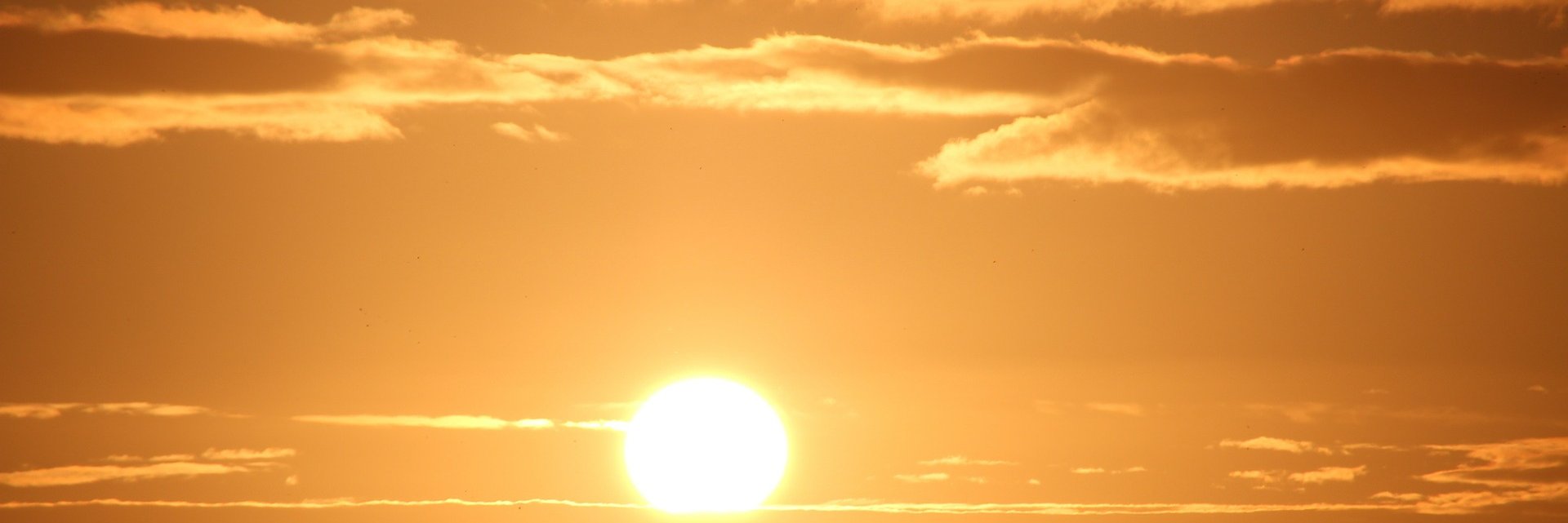 tyauilla's profile banner image
