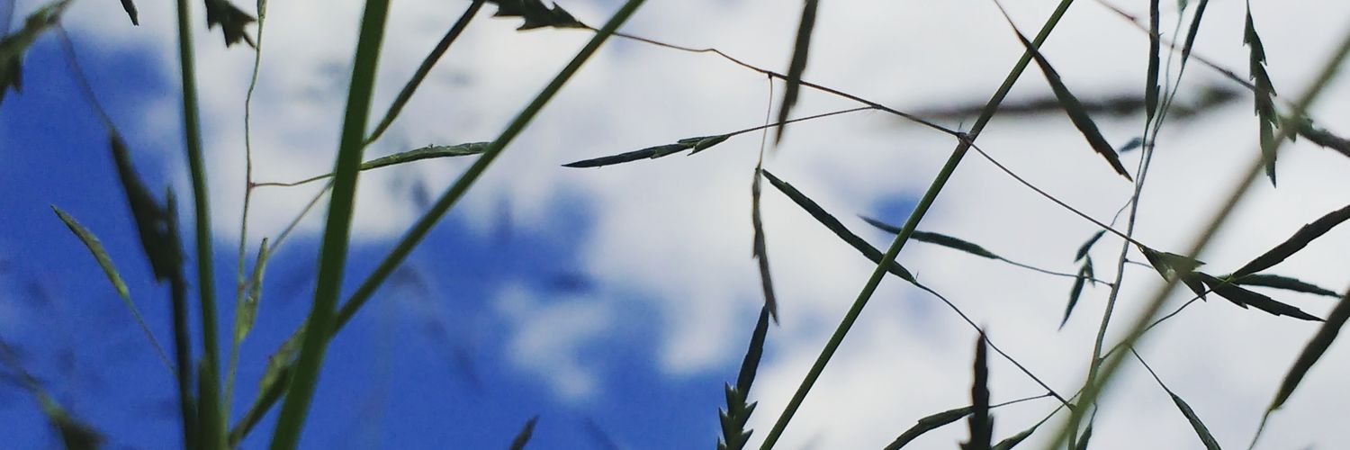 erictlax's profile banner image
