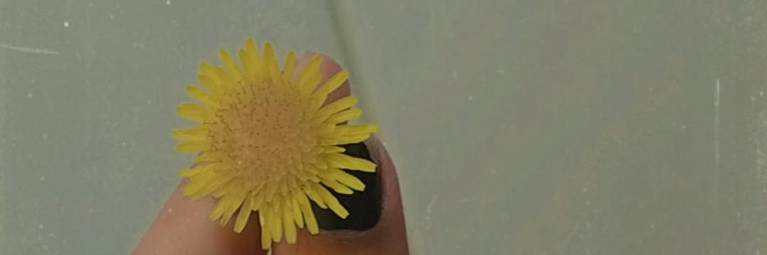 GabryellaFilipi's profile banner image