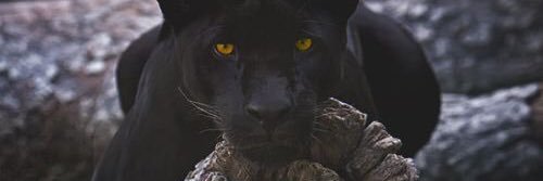 _SaHaRaH's profile banner image