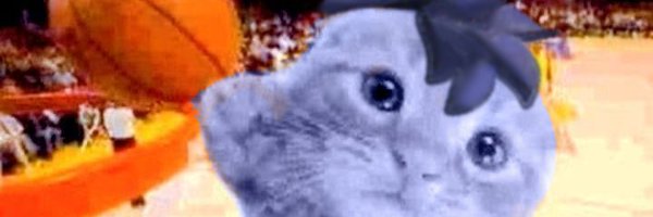 sonokido Profile Banner