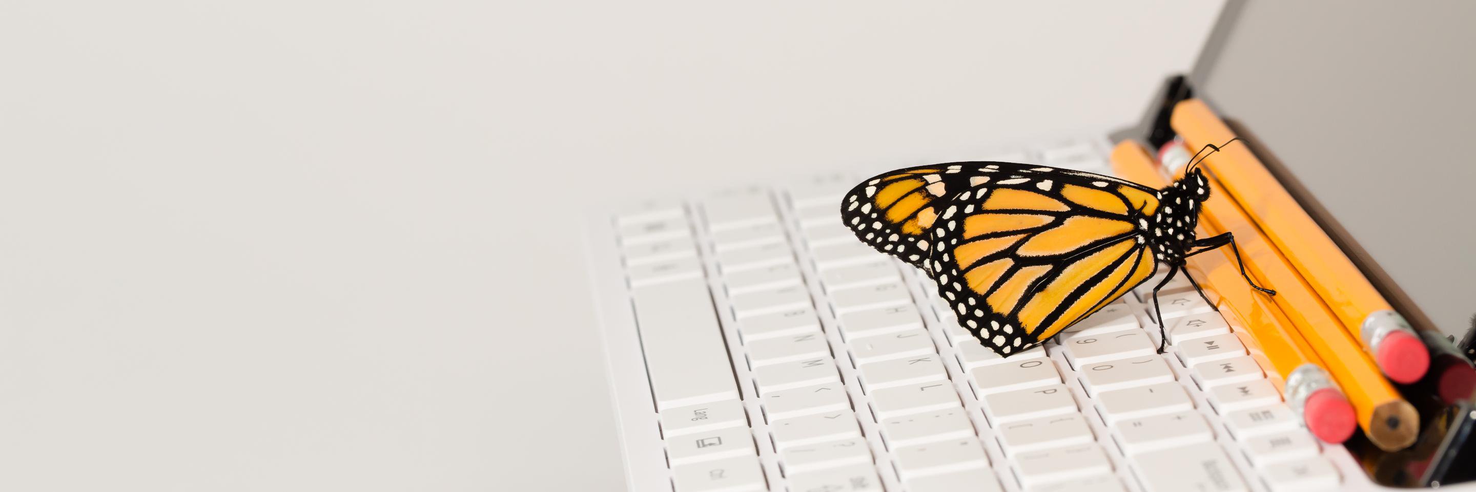 novarelibrary's profile banner image