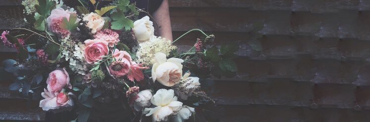 TheNurturedStem's profile banner image