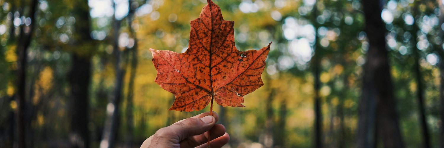 CanadianPain's profile banner image