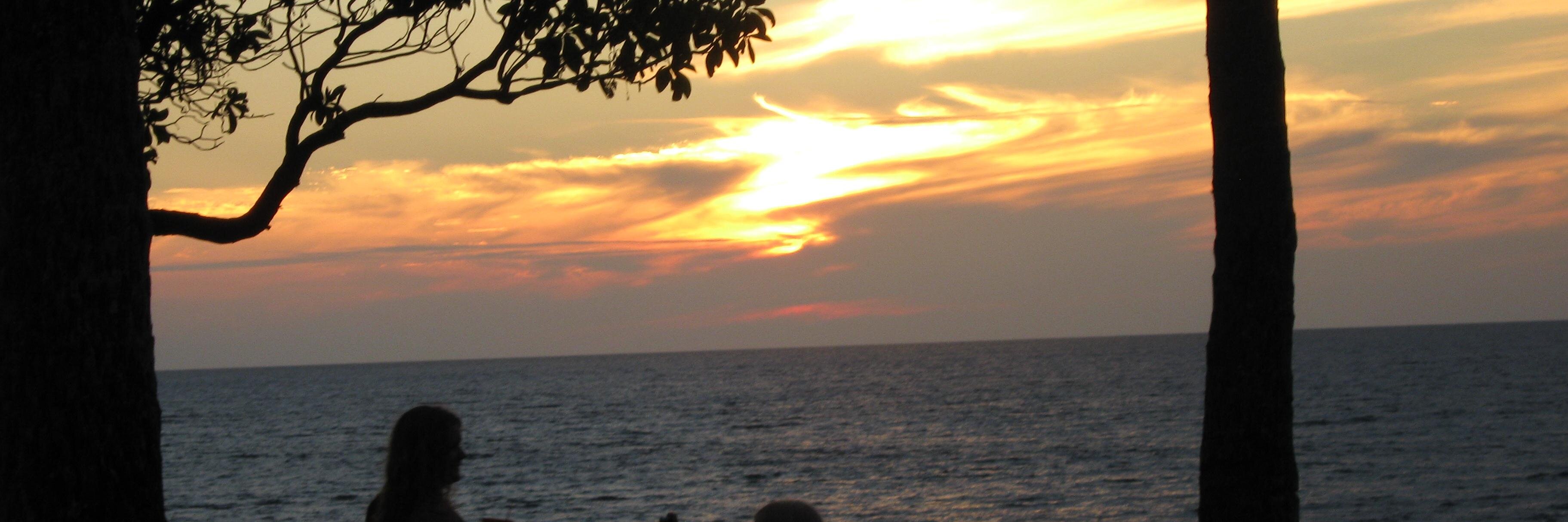 littlestevier's profile banner image