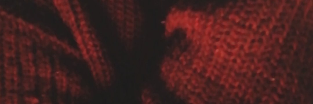 niyose banner