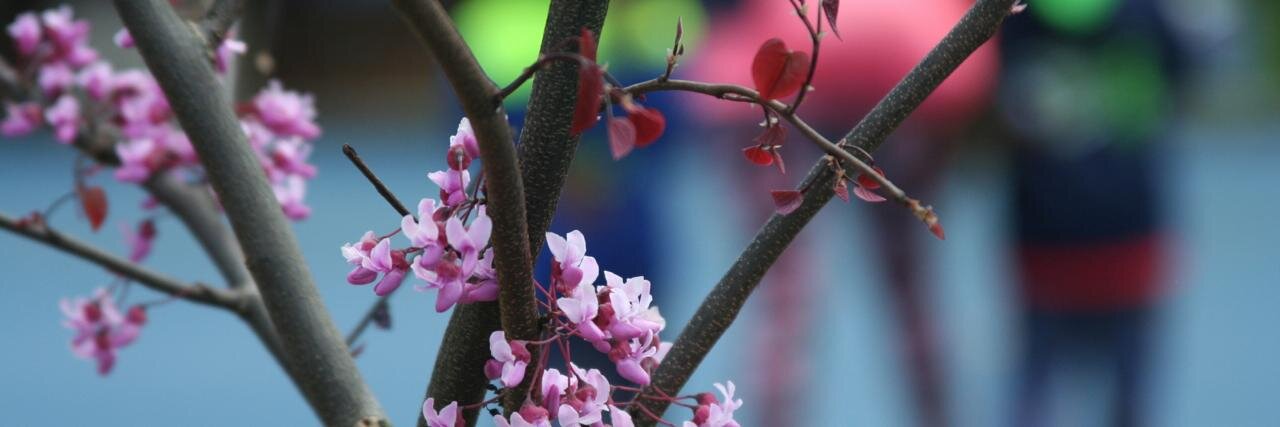 N. Hao Ching 程浩源 🐇 banner