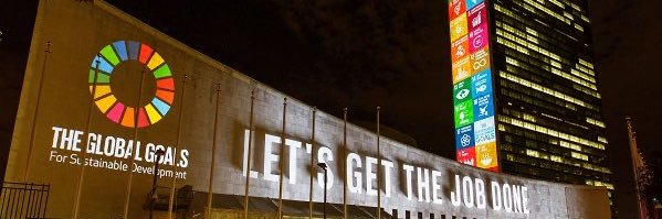 Signe Winding Albjerg banner