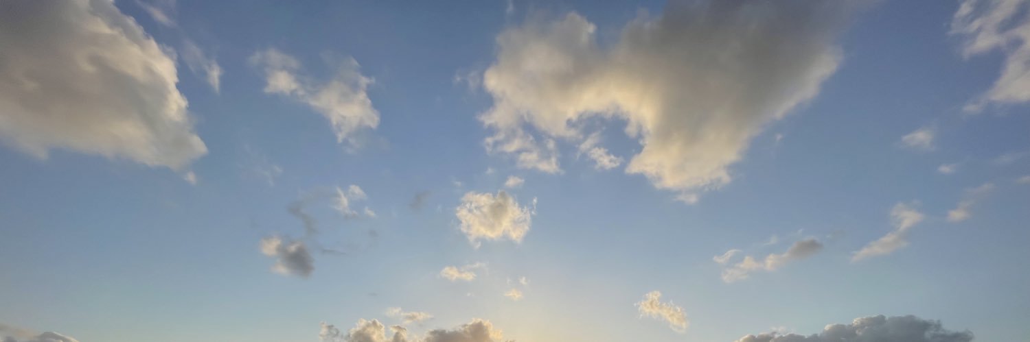 bashibashi_ko's profile banner image