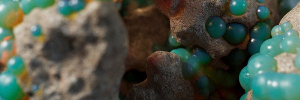 nono_palace Profile Banner