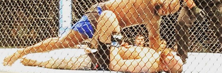 Derrick Lewis banner