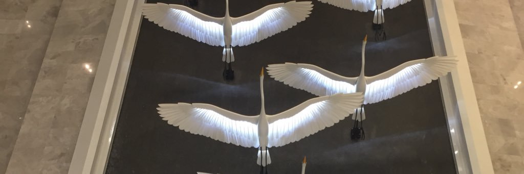 nshafaath's profile banner image
