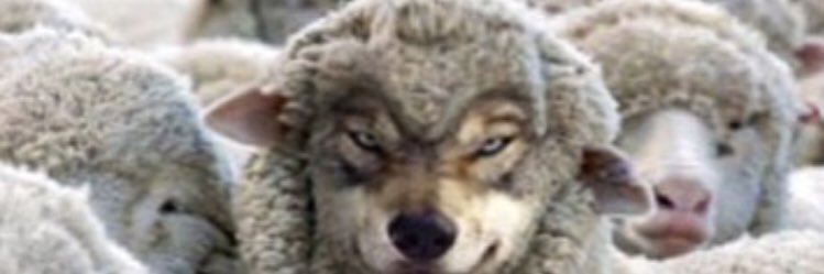 UncleBingo18's profile banner image