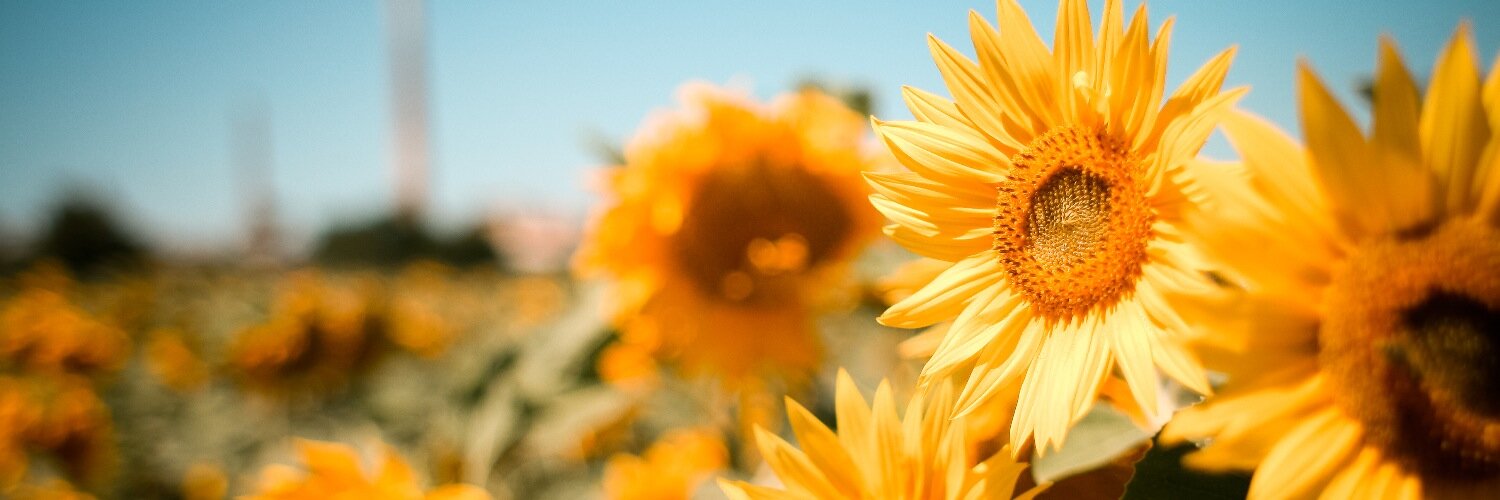 basicive's profile banner image