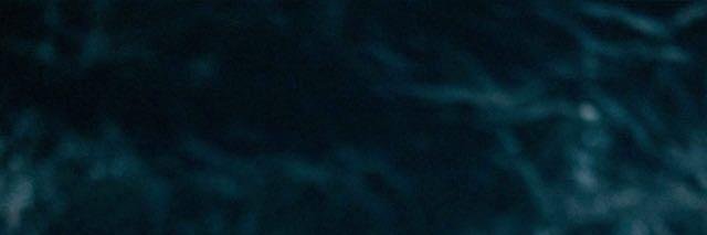 covertlight's profile banner image