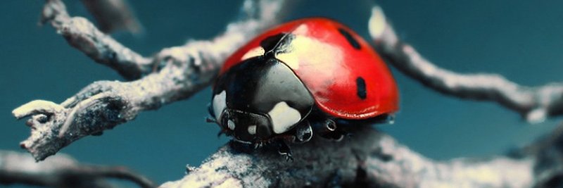 DEL61490's profile banner image