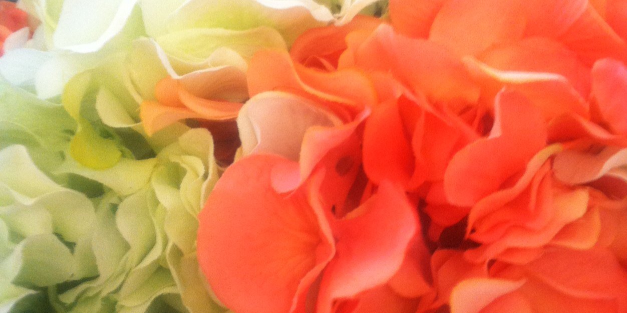 JustAl_D's profile banner image