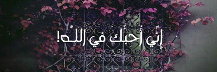 souaad222's profile banner image