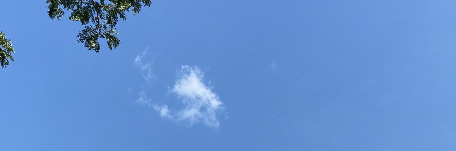 GUANAHTARE's profile banner image