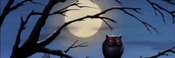 terrybright Profile Banner