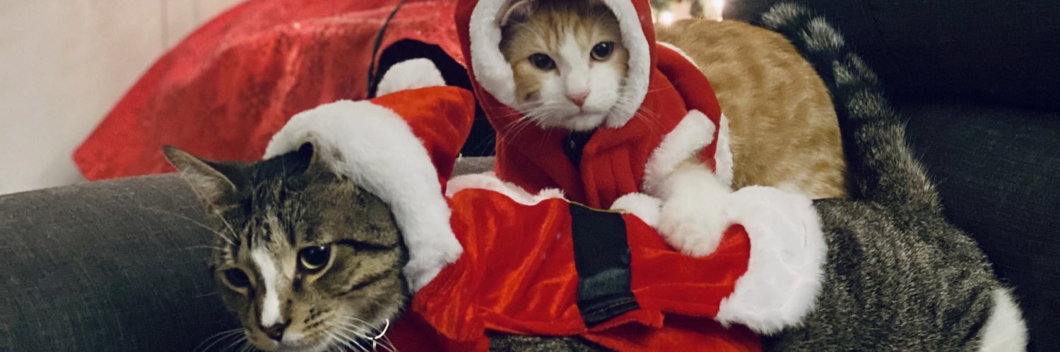 socclys's profile banner image