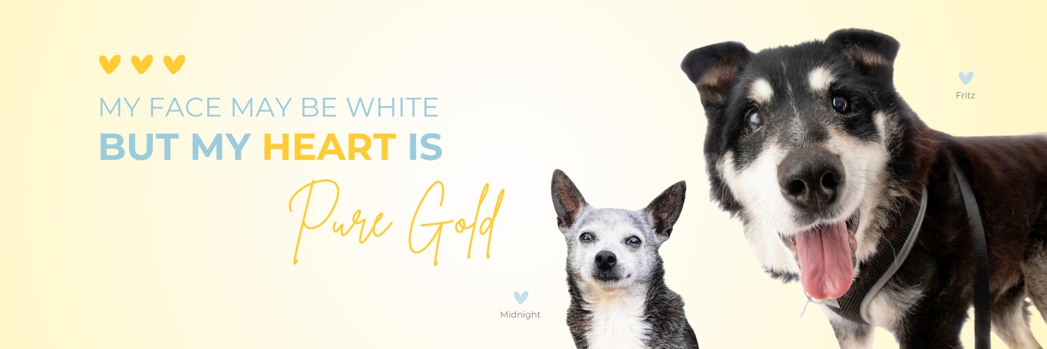 GreyMuzzleOrg banner