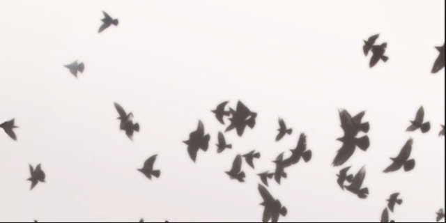 Spg_16's profile banner image