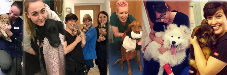 Park Vet Group banner