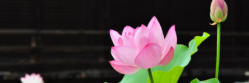 korim59628677's profile banner image