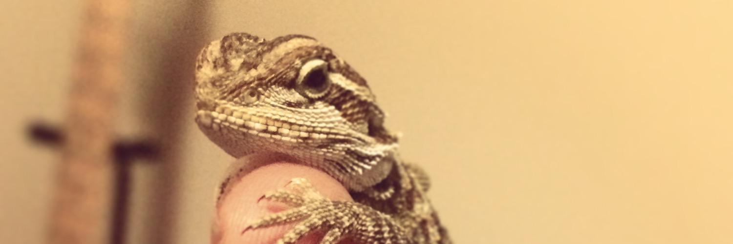 Wh1tness's profile banner image