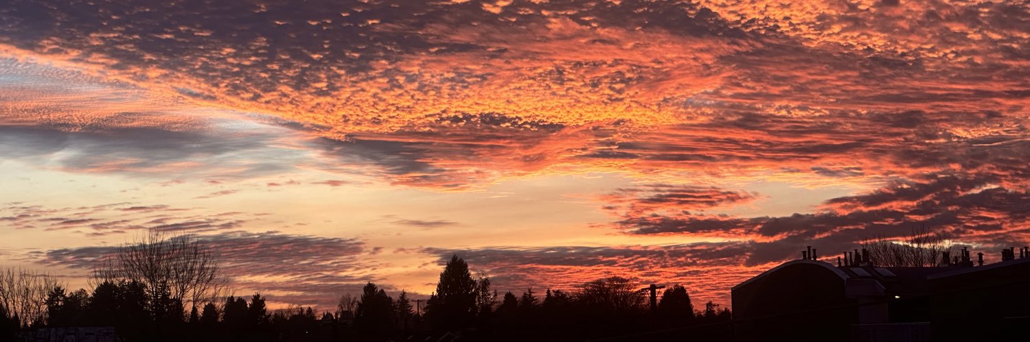 shawn vulliez banner