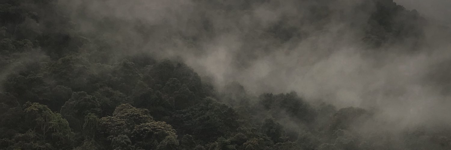 olaffffv's profile banner image