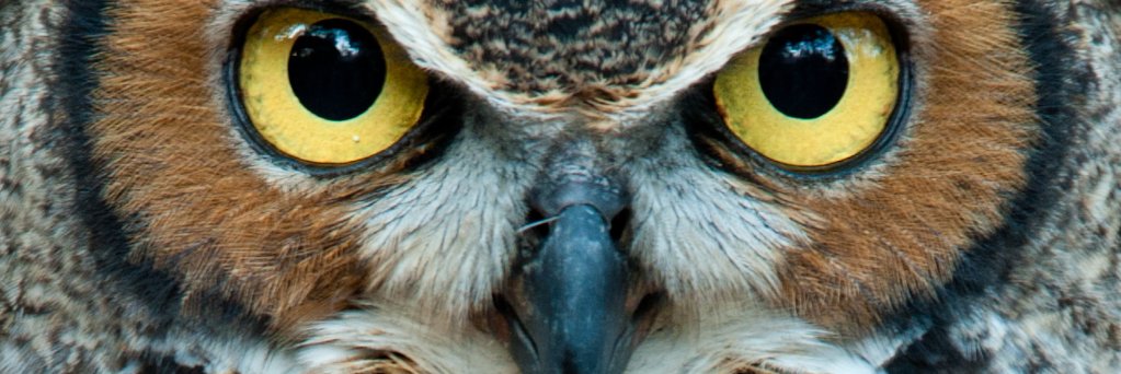 RIEC Oost-Nederland banner