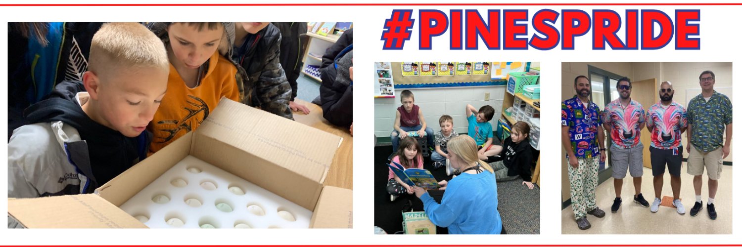 Northland Pines School District banner