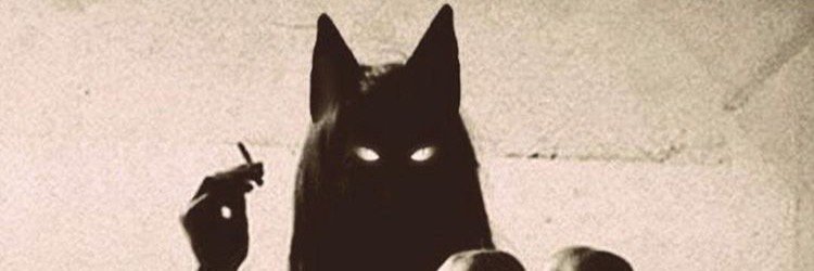 AmandaRozayy's profile banner image