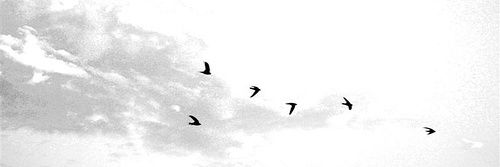 Sikaa_aa's profile banner image