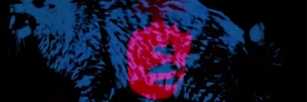 MichelleBeeyeah Profile Banner