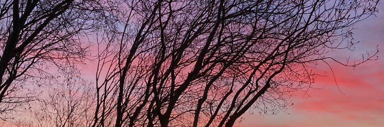ctlnulloa's profile banner image