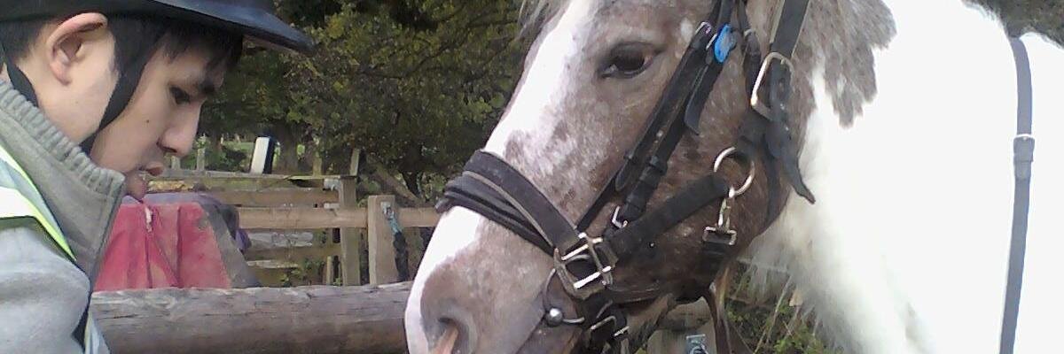 Basingstoke Mencap banner