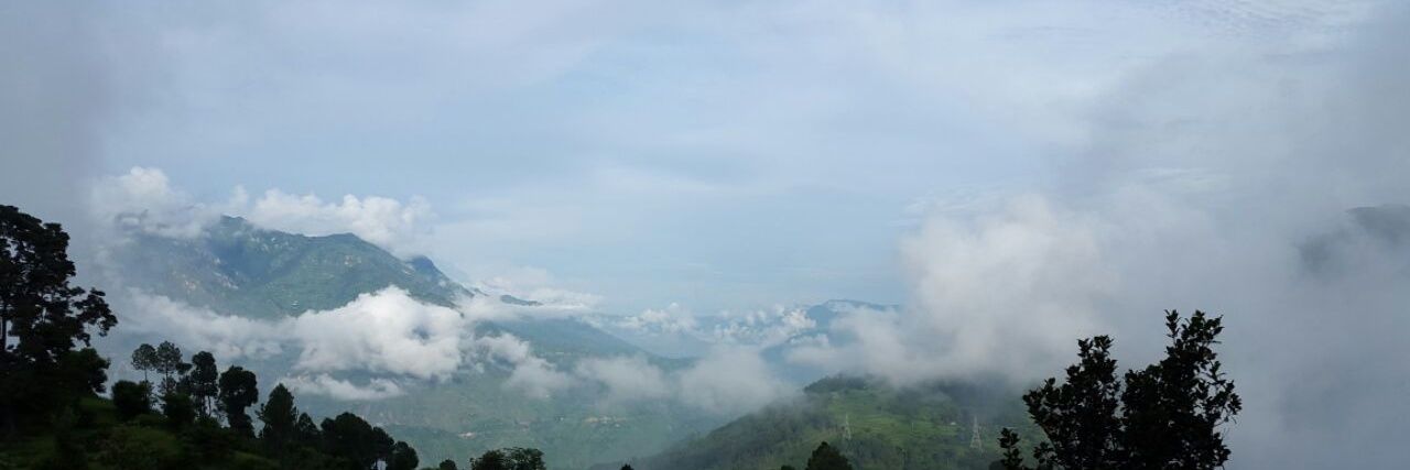 Bora_Chandra's profile banner image