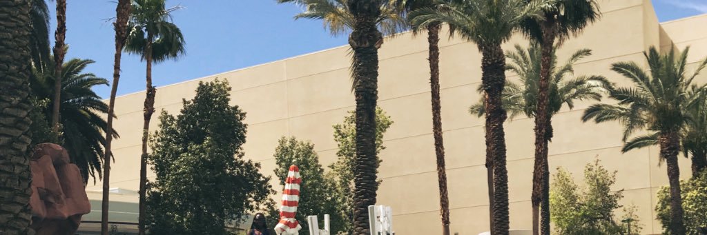 LauraXVI's profile banner image