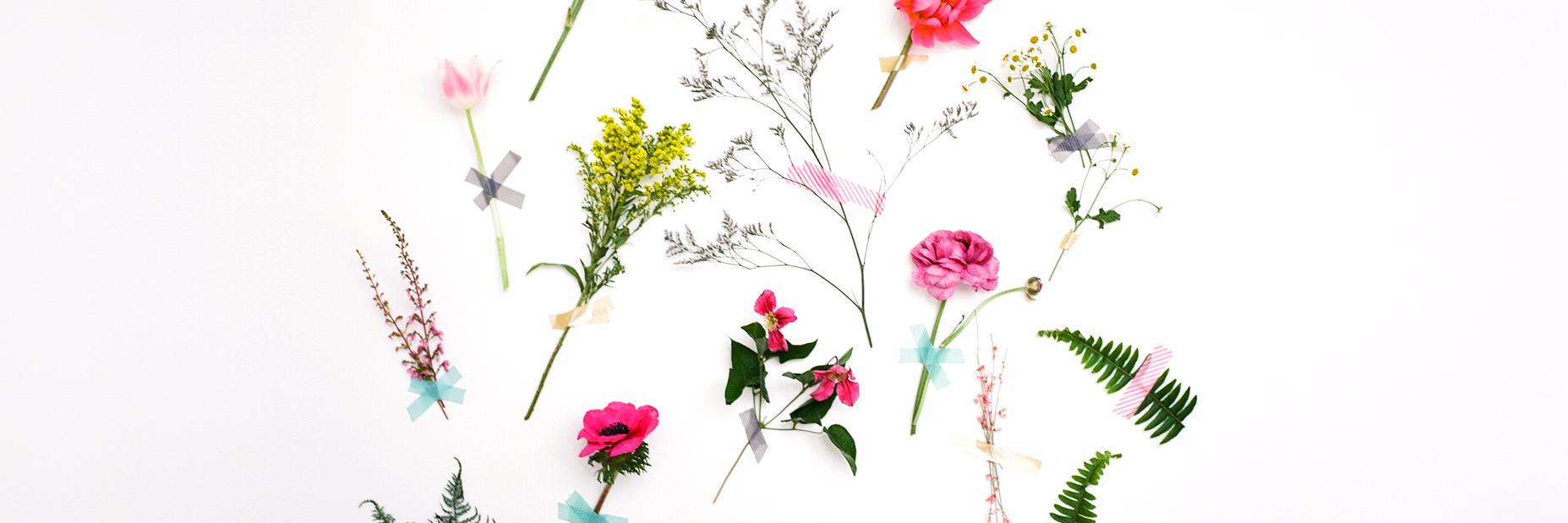 Andrée-Anne Pelletier banner