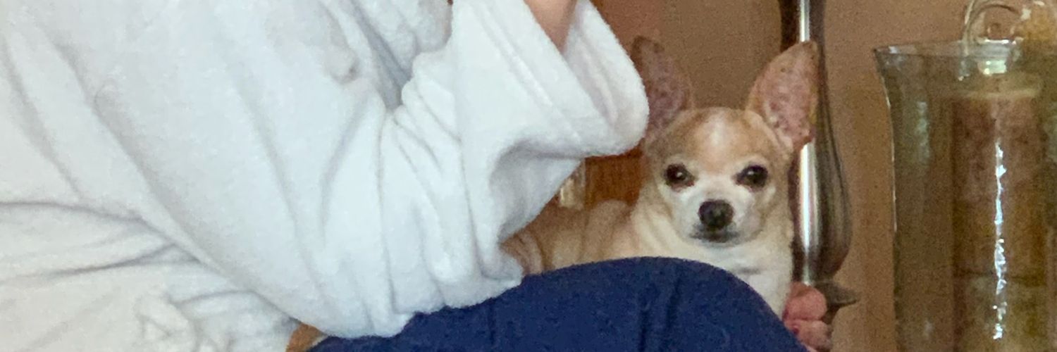 tacosrdashit's profile banner image